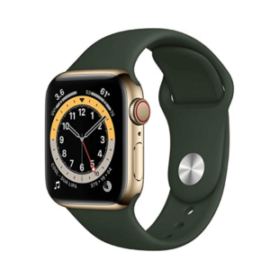 Apple Watch Series 6 GPS + Cellular 40mm Gold Stainless Steel Case with Cyprus Green Sport Band - Regular on EMI