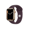 Apple Watch Series 7 GPS + Cellular 45mm Gold Stainless Steel Case with Dark Cherry Sport Band - Regular on EMI